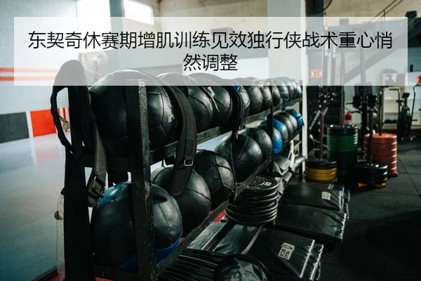 东契奇休赛期增肌训练见效独行侠战术重心悄然调整 - kaiyun